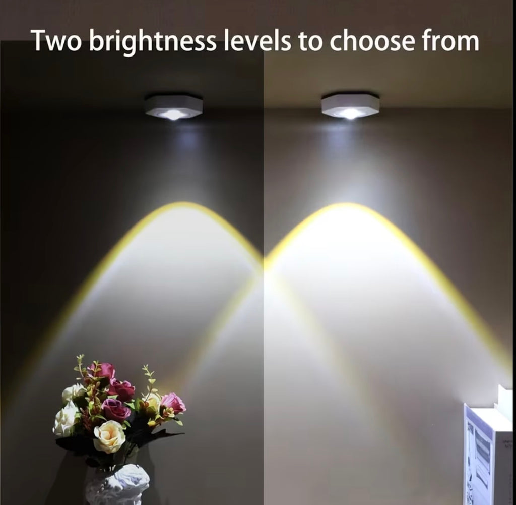 Photography Ambient Lighting